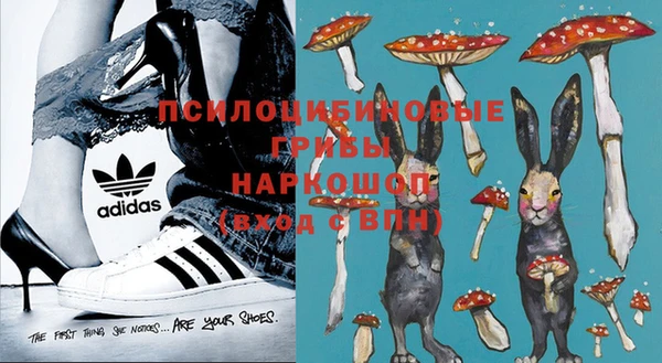 MDMA Premium VHQ Каменка