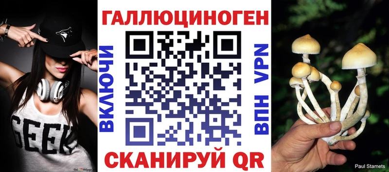 Галлюциногенные грибы Psilocybine cubensis  Купить закладки  Оханск 