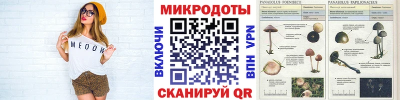 Псилоцибиновые грибы Magic Shrooms Оханск